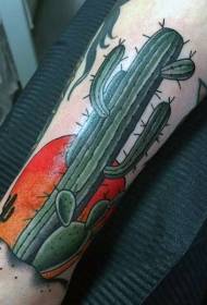 New style colored big desert cactus tattoo picture