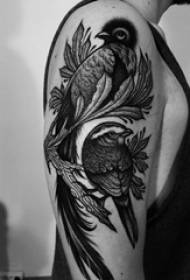 model tatuazhesh zogj djemsh viçë në modelin e tatuazheve të shpendëve