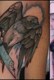 теля Європи та Америки школи колір татуювання птаха кинджал