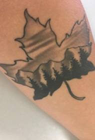 European and American calf tattoo boys shank on the landscape and maple leaf tattoo pictures 98884-European calf tattoo male shank colored cartoon puppy tattoo picture