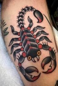 kalv symmetrisk tatuering manlig skaft på färgad skorpion tatuering bild