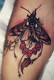 ໂຮງຮຽນ calf ໃຫມ່ແຕ້ມຮູບ moth skullTattoo