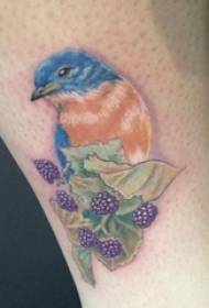 tehnika slikanja na teletu, biljni materijal, slika ptica tetovaža slika životinja