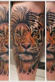Modèle de tatouage demi-lion-demi-tigre couleur de jambe