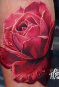 gambo maschio simmetrico del polpaccio del tatuaggio sull'immagine colorata del tatuaggio della rosa