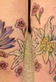 kukka tatuointi tyttö vasikka kukka tatuointi värikuva
