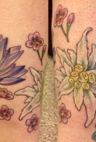 літературний квітка татуювання дівчина теля вище мистецтва квітка татуювання кольоровий візерунок