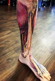 oase de culoare realistă a picioarelor și modelul de tatuaj muscular