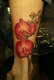 Boje nogu realistične slike crvene orhideje tetovaža