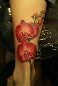 Le gambe colorano le immagini realistiche del tatuaggio dell'orchidea rossa