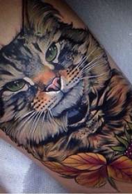 고양이 문신 패턴에 고양이 문신 소녀 송아지