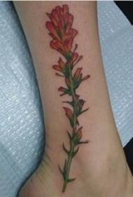 tatuaje de nena planta tatuaxe en herba de chama de cores foto tatuaxe planta
