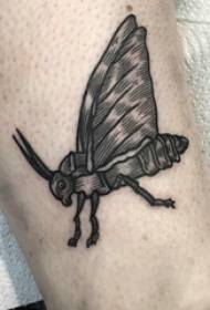 момчиња теле на црна сива скица точка трн трик креативна слика за инсекти тетоважа