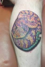 Tatuatu di vitellu europeu maschile ciuffu di culore di tatuaggio di serpente