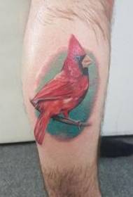 Tatuaggio di uccello tedescu masciu culuratu di culore di tatuaggio di uccello
