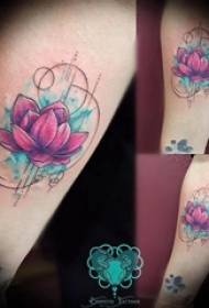 boys calf on painted gradient simple line plant lotus tattoo picture