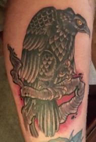 百乐动物纹身 男生小腿上彩色的秃鹰纹身图片
