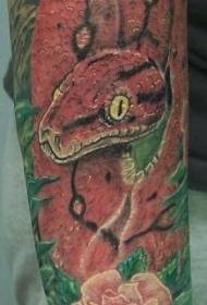 Gjarpër me ngjyrën e kuqe gjueti me model tatuazhi u rrit