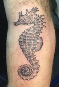 намунаҳои хипполини тасвири писарбачаҳо гӯсолаи Ҳиппо тасвири Tattoo оид ба хокистар сиёҳ