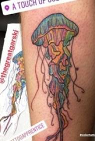 Tatuaje de animal Baile vástago masculino en imagen de tatuaje de medusa de color