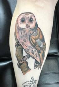 inkosazana yamathoyizi emidwebo elula yezilwane ezincane izilwane ezincane Owl tattoo