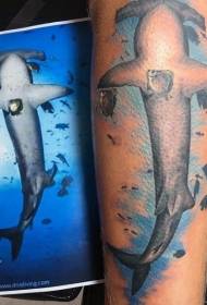 Immagine realistica del tatuaggio dello squalo martello di colore delle gambe