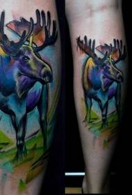 noha akvarel jako barevný obrázek velkého losa tetování