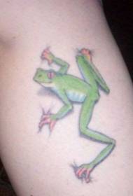 disegno del tatuaggio realistico rana verde piccola gamba colore