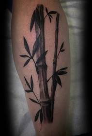 Skutino realisma bambua tatuaje