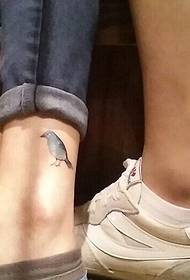 隱藏在小腿上的鳥情侶紋身