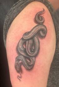 Dvostruka velika ruka tetovaža muška velika ruka na slici crne zmije tetovaža