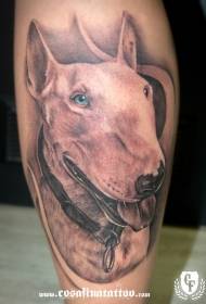 Modela tattooê ya kûçikê rengîn a dibistana nû