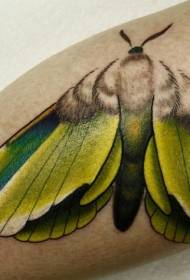 Beautiful color butterfly tattoo pattern on calf