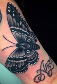 Shank beau motif de tatouage lettre grand papillon gris noir