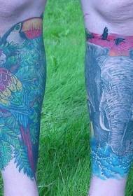 Patró de tatuatge amb elefant de vedell i lloro