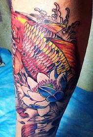 Sarkanā kalmāra tetovējuma attēls ar teļu