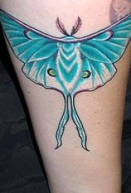 Láb kék moly tetoválás minta