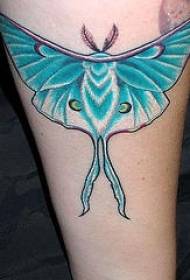 Modello di tatuaggio falena gamba blu