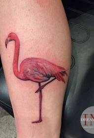 Gražus spalvotas flamingo tatuiruotės modelis blauzdoms