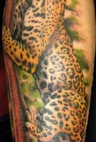 Хубав цветен леопардов модел на татуировка на краката