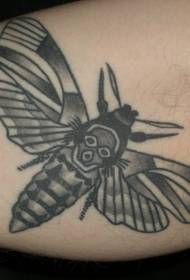 Butterfly tatuering med svart personlighet på benet