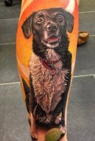 Vasika uhke värvi jalad vana koera portree tätoveeringu muster