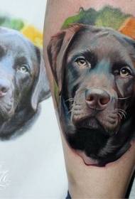 Modello di tatuaggio cane carino colorato stile realistico