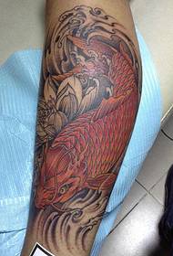 Pack calf red squid tattoo picture fortune billowing