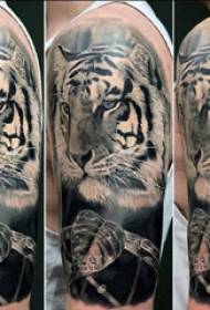 Apejuwe tatuu apa nla ọkunrin apa nla lori ewe ati aworan tiger tiger