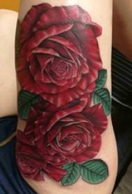 大腿紋身傳統女孩大腿上精美的玫瑰紋身圖片