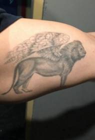 Dubultā lielās rokas tetovējums vīrieša studenta lielā roka uz dominējošā lauvas tetovējuma attēla