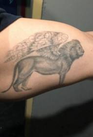 Mbili mkono mkubwa wa tattoo mkono wa kiume mwanafunzi mkubwa juu ya picha ya tatoo simba