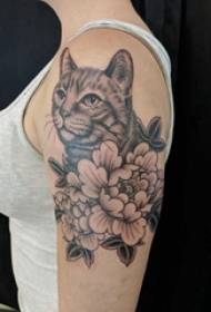 Kitten tattoo girl with arms and cat tattoo pictures on the big arm