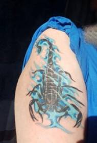 Skorpiono paveikslėlio tatuiruotė mergaitės didelę ranką ant spalvoto skorpiono tatuiruotės paveikslėlio
